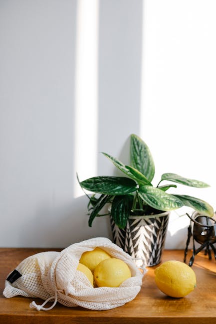 Sustainable Home Design: Create a Green Oasis