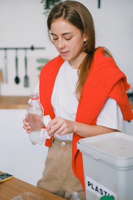 How to Live Sustainably: A Beginner’s Guide