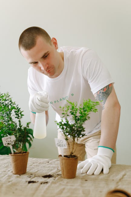 Eco-Friendly Bedroom Setup: Sleep Soundly